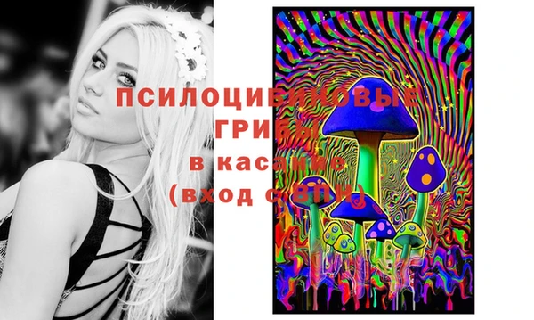 дурь Алзамай