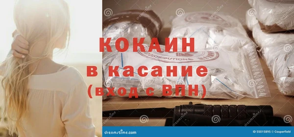 ешки Алексин
