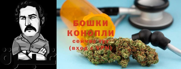 spice Алексеевка