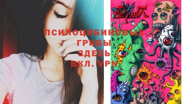spice Алексеевка
