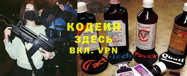 дурь Алзамай