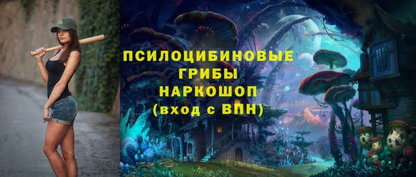ешки Алексин
