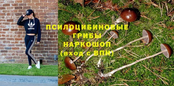 ешки Алексин