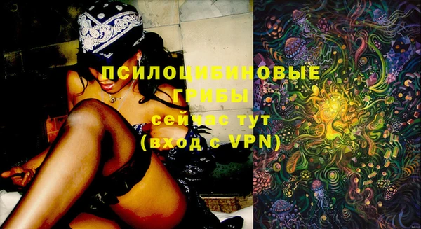 ешки Алексин